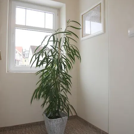 Sofia House Holiday home