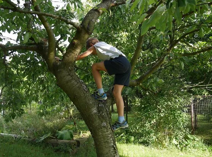 Sofia House Абертами