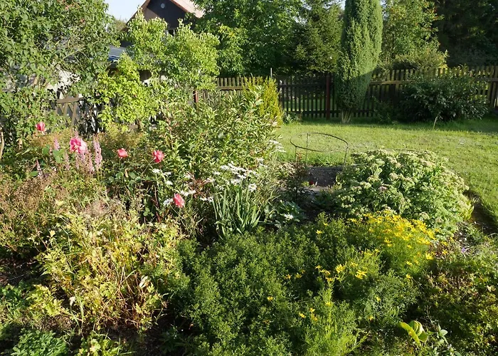 Дом отдыха Sofia House Абертами