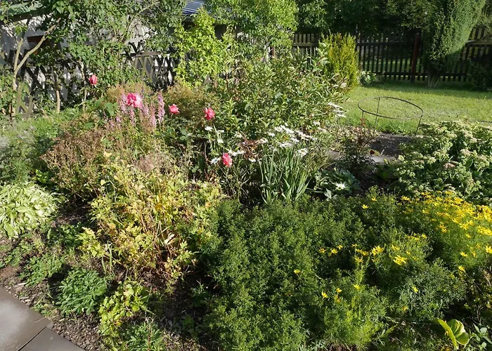 Sofia House Semesterbostad Abertamy