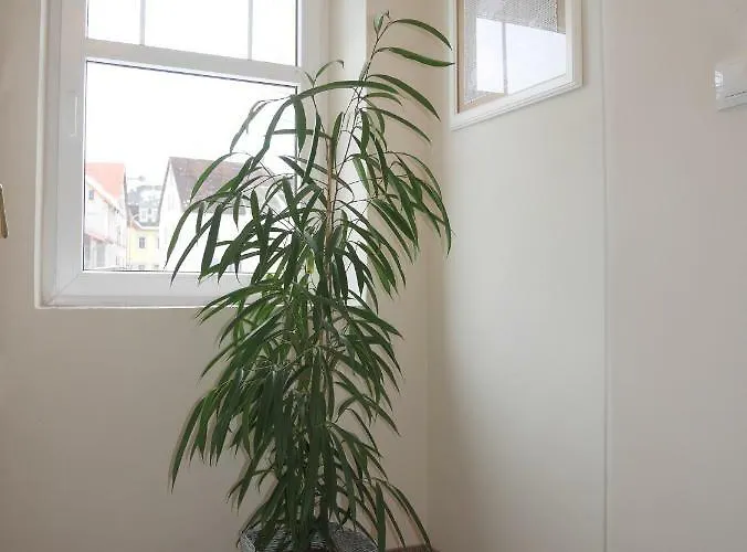 Sofia House Дом отдыха