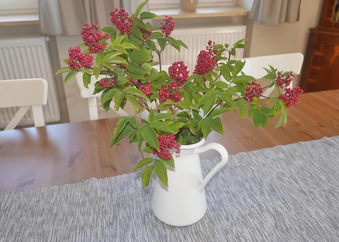 Sofia House Дом отдыха